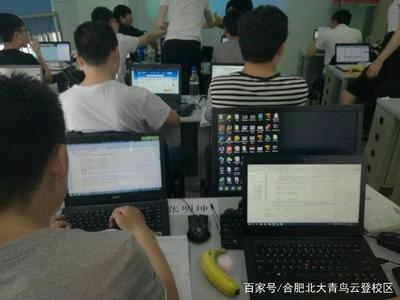 汽車維修與計算機(jī)軟件開發(fā) 哪個職業(yè)前景更廣闊？